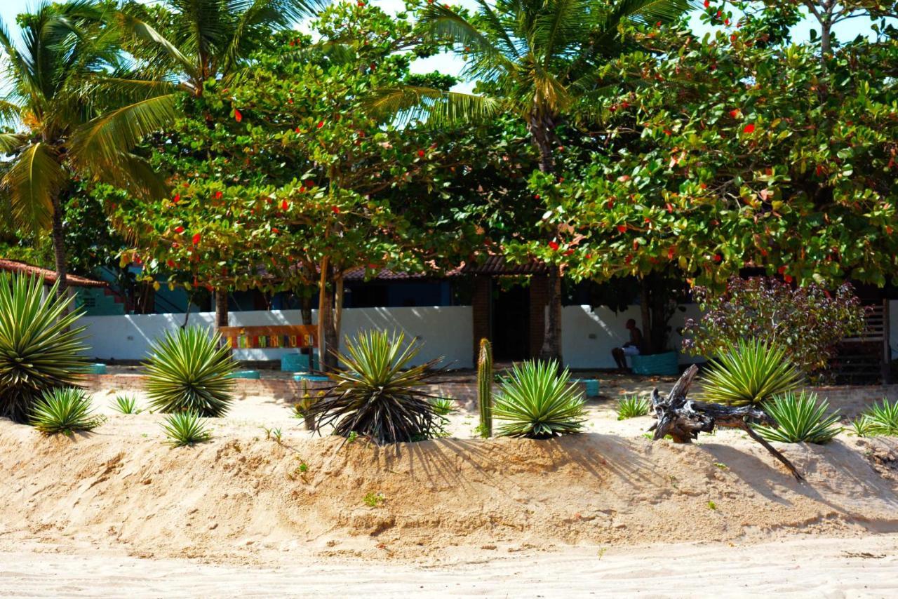 Hostel America Do Sul Jericoacoara Extérieur photo
